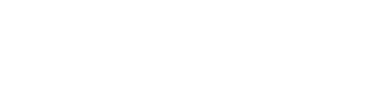 Navy SEAL Foundation